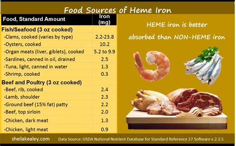 What Foods Are Good Sources Of Iron Sheila Kealey