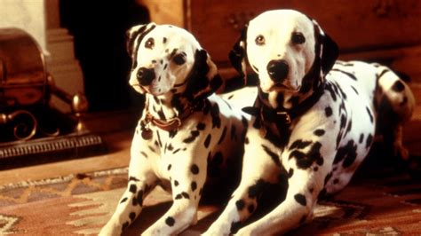 101 Dalmatians 1996 Backdrops — The Movie Database Tmdb