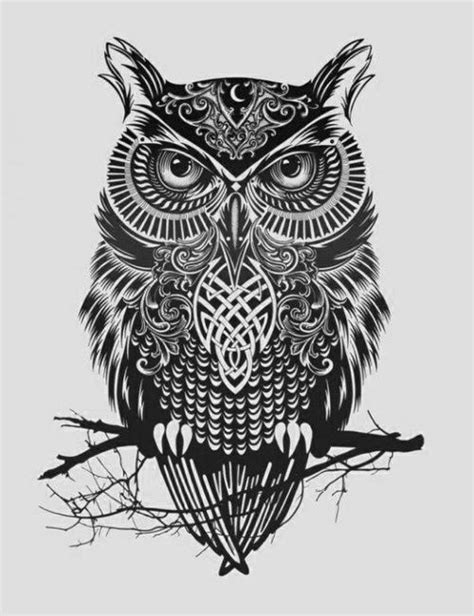 Would Make A Beautiful Tattoo Tattoos Owl Tattoo Design Tattoos Y
