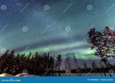 Northern Lights And Milky Way Over Snow Covered Forest Stock Image