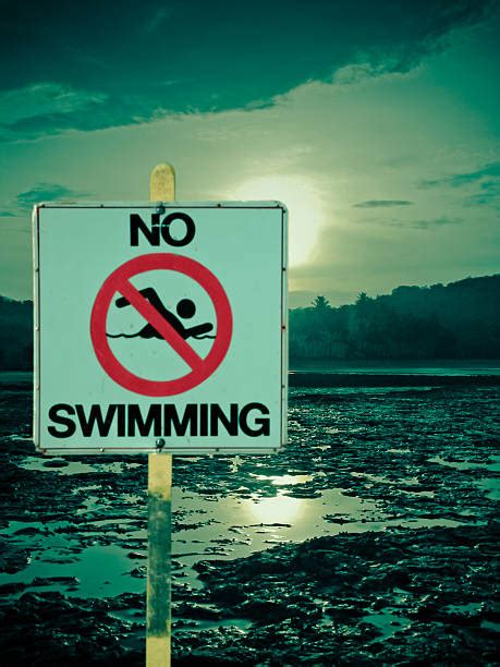 Royalty Free No Swimming Sign Pictures Images And Stock Photos Istock