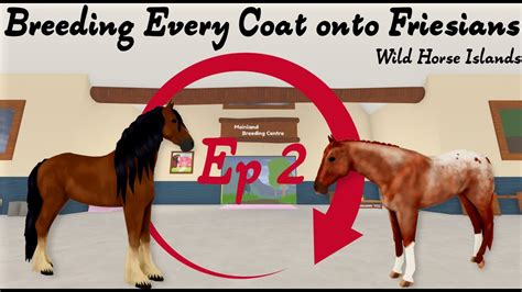 Ep 2 Of Breeding Every Coat Onto Friesians Wild Horse Islands Youtube