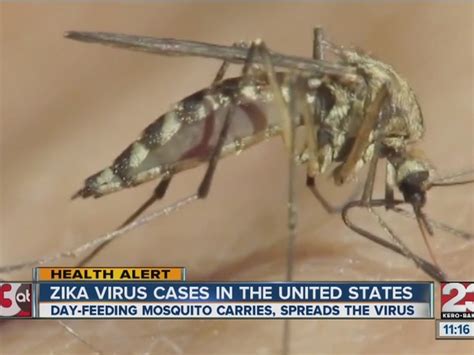 Zika Virus Spreading Quickly