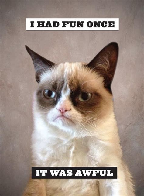 I Had Fun Once It Was Awful Grumpy Cat Quotes Funny Grumpy Cat Memes