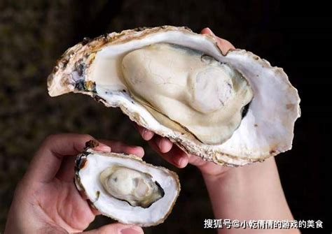 吃了20多年的海鲜，终于知道牡蛎和生蚝的区别了，以后可别再买错