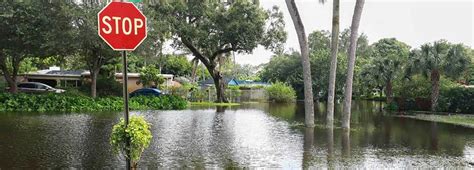 Florida Flood Insurance Cost And Coverage In 2023 Trusted Choice