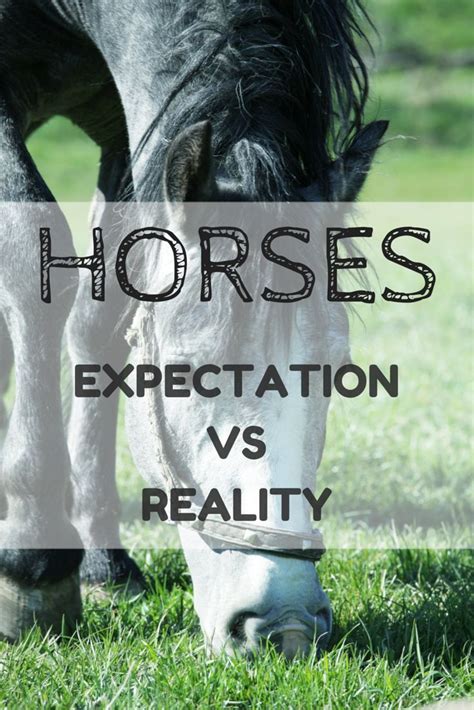 Horse Quotes Funny Expectation Vs Reality Funny Horses
