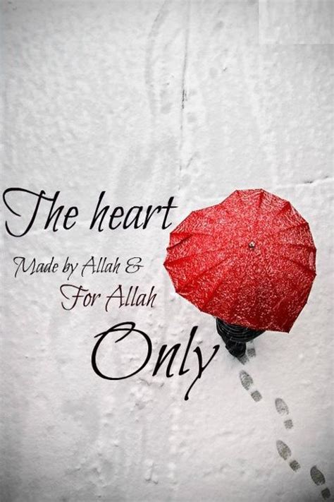 Love For The Sake Of Allah Regardless Of What They Do To You Nur