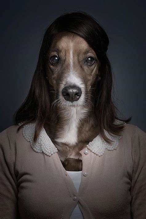 The amount of glucosamine in a joint supplement made for humans may be more than what is necessary and. Underdog: How Dog Looks Like if They Dressed up Like Human ...