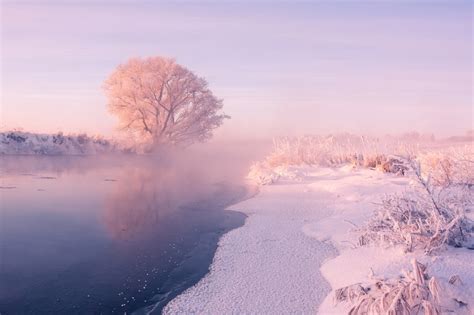 Photographer Wakes Up Early Every Day To Capture The Beauty Of Winter