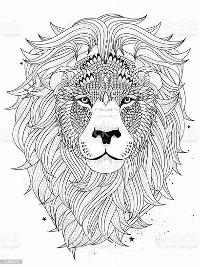 Lion Coloring Head Abstract Animal Vector Illustration