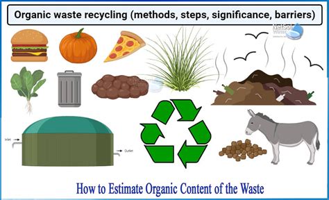 How To Estimate Organic Content Of The Waste