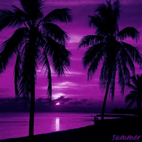 Más De 25 Ideas Increíbles Sobre Puesta De Sol Púrpura En Pinterest