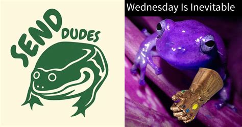 30+ Wednesday Memes, GIFs, Videos and more