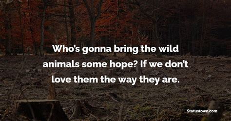 Whos Gonna Bring The Wild Animals Some Hope If We Dont Love Them The