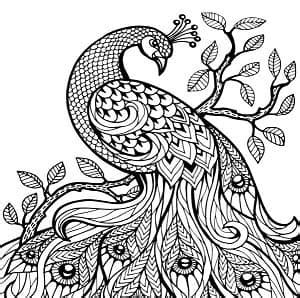 Dibujos Dificiles Para Colorear