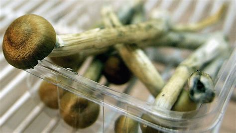 Magic Mushrooms Are The Safest Recreational Drug Study Says