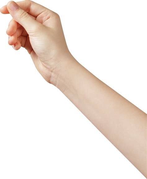 Download Hd Personwomans Hand Hand Holding Something Png Transparent Png Image Nicepng Com