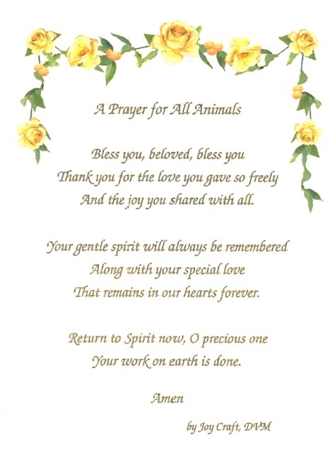 Prayer for a dying cat lord, (cat's name) is such a gentle soul; A prayer for a deceased pet. | Words of wisdom | Pinterest ...