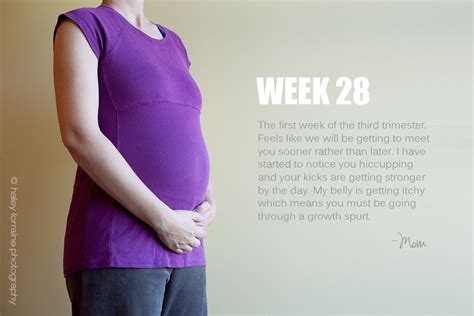 28 Weeks Pregnancy Series Haley Lorraine Photography
