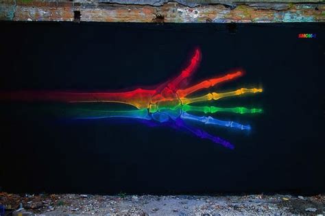 Rainbow Anatomy By Shok Oner — Colossal