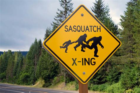 Where To Find Sasquatch In The Pacific Northwest And What To Do If You