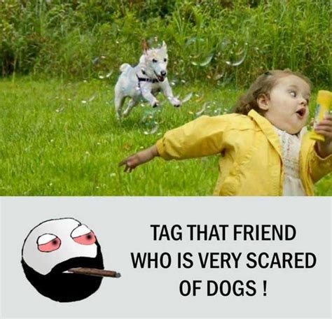 Are You Scared Of Dogs
