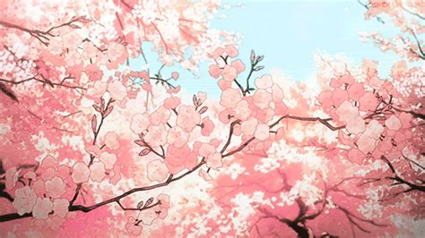 Sakura Trees Anime Aesthetic Cherry Blossom  Cenário Anime 8bit