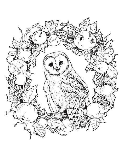 Coloring Pages Of Barn Owls