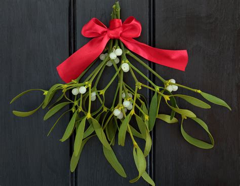 Mistletoe Meaning Its More Than A Christmas Decoration On Whats Your Sign