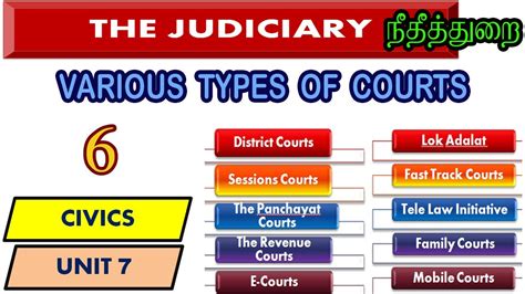 பல்வேறு வகையான நீதீத்துறை Different Level Of Courts In Tamil 8th