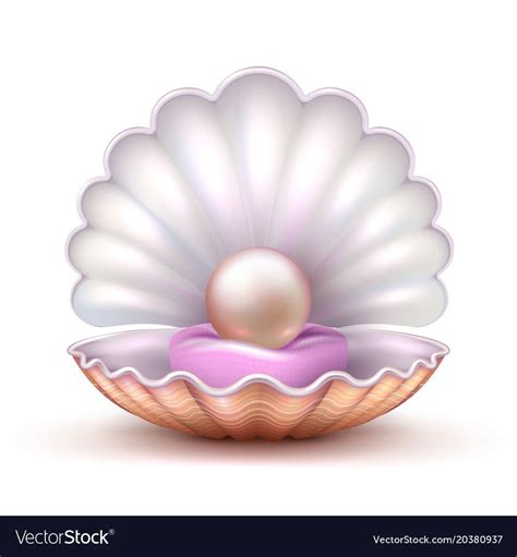 We did not find results for: Open oyster sea shell with valuable pearl isolated ...