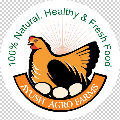 Food Asil Chicken Free Range Eggs Ayush Agro Farms Egg Food