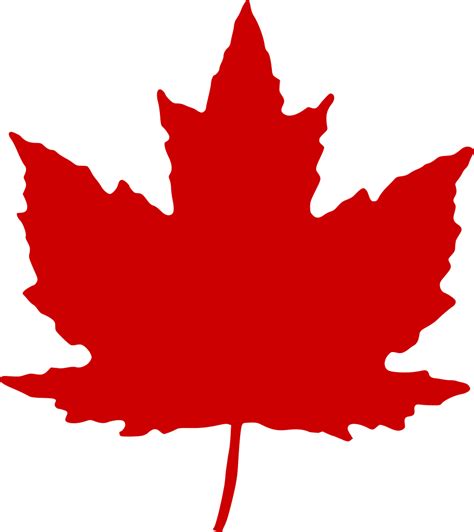 Canada Maple Leaf Wallpapers Top Free Canada Maple Leaf Backgrounds