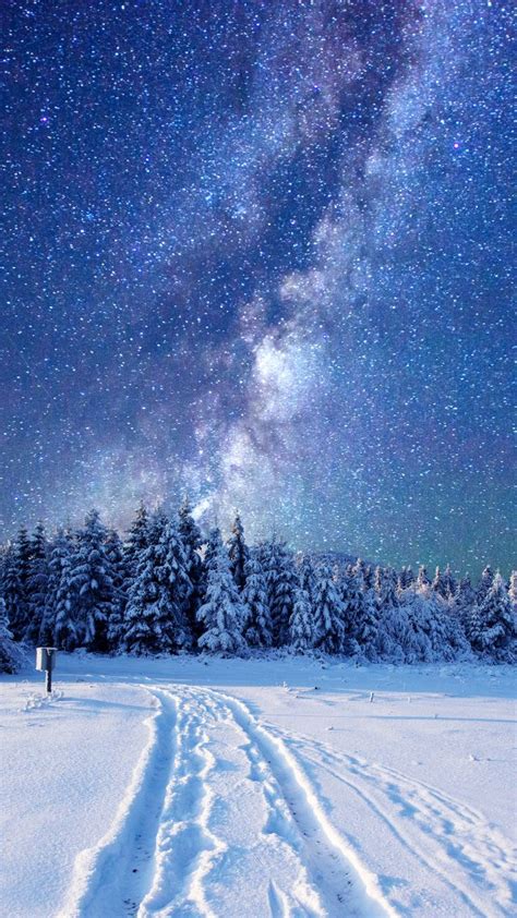 Free Download Wallpaper Forest Snow Winter Sky Stars Night 5k Nature