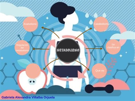 Mapa Mental Del Metabolismo Gabriela Villalba By Gabriela Villalba On