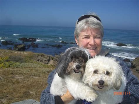 Zee With Lola And Ellie At The Beach So Fun Animals Beach Dogs