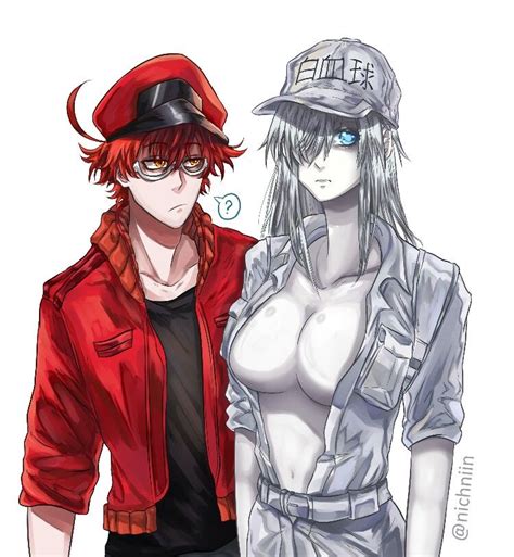 Cells At Work Code Black White Blood Cell X Red Blood Cell Delicate