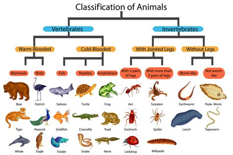 ¿cuántas Especies Animales Existen En La Tierra My Animals