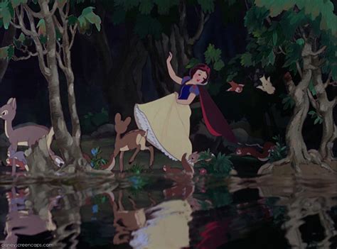 Which Forest Would You Like To Explore The Most Disney Princess Fanpop