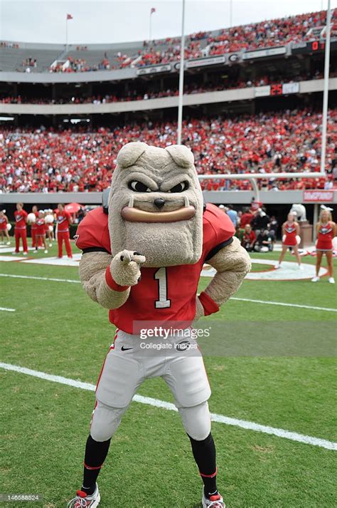 Uga Mascot Of The University Of Georgia Bulldogs Football