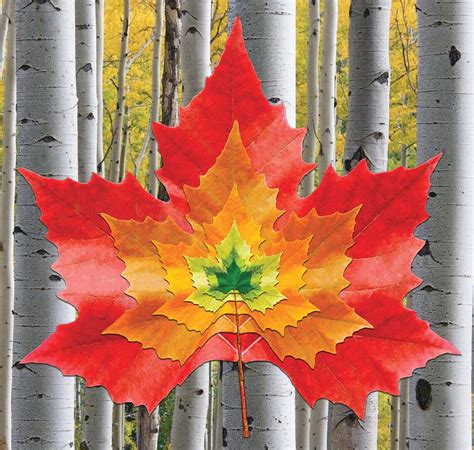 Maple Leaf Print Maple Leaf Colours Maple Leaf Golden Ratio Etsy