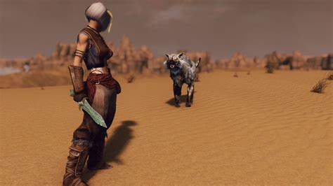 Le Desert At Skyrim Nexus Mods And Community