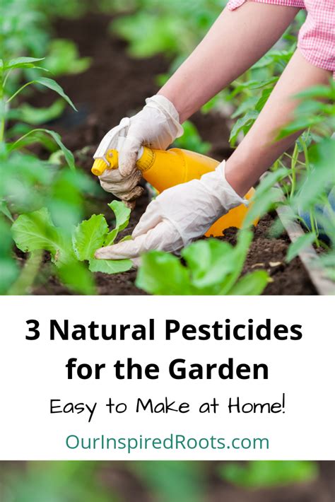 If Youre Looking For Truly Natural Pesticides For The Garden Youre