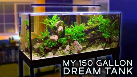 This Is My Dream Aquarium — My 150 Gallon Aquascape Youtube