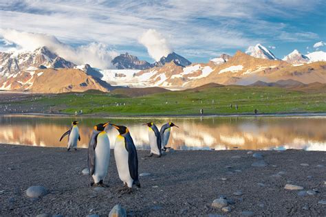 Curiosidades Del Mundo Islas Georgias Del Sur Argentina