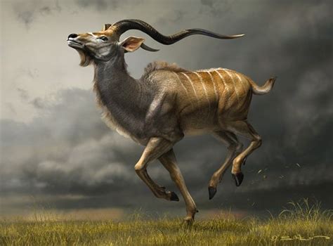 Charging Kudu 3d Digital By Bill Melvin Via Behance Wild Animal