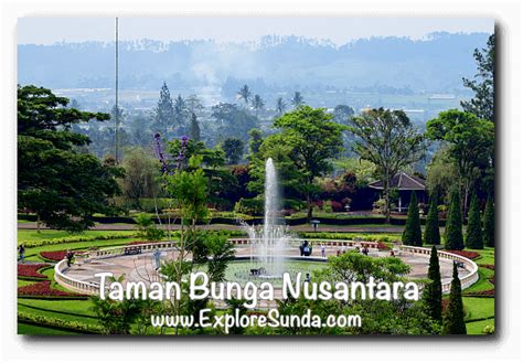 Taman Bunga Vektor Png Pics