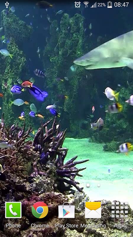 Aquarium Live Wallpaper Free Android Live Wallpaper Download Appraw