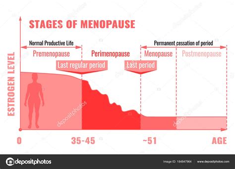 Stages Of Menopause Infographic Stock Vector Annyart